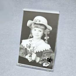 Ladybird - With Picture Frame